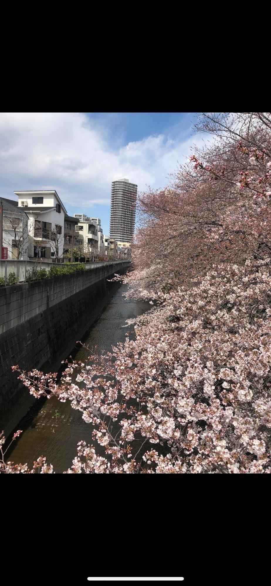 Appartamento 東京の港灣-tokyo Harbor -28 Square Meter King Size Garden *