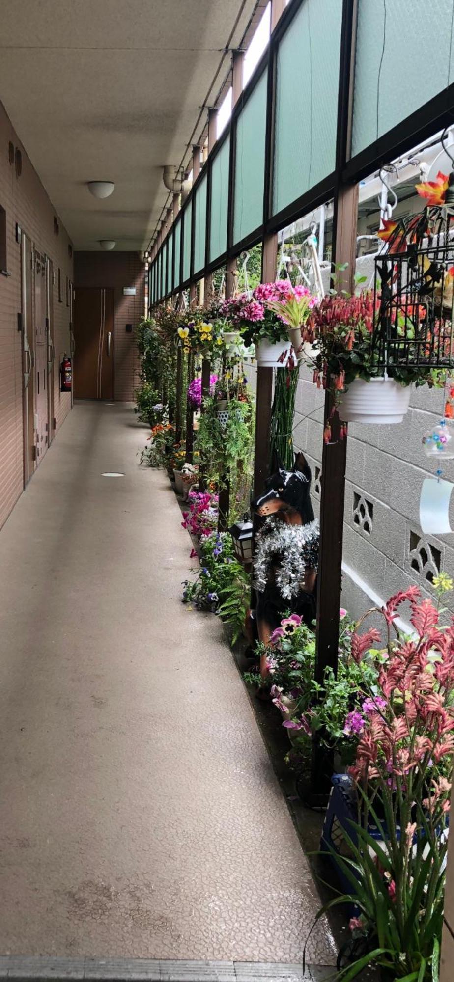 東京の港灣-tokyo Harbor -28 Square Meter King Size Garden Appartamento *
